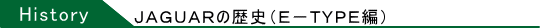 E−TYPEの歴史